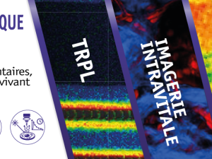 Techniques avancées de Microscopie