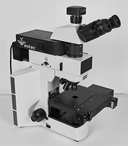 Microscope Confocal Ramos