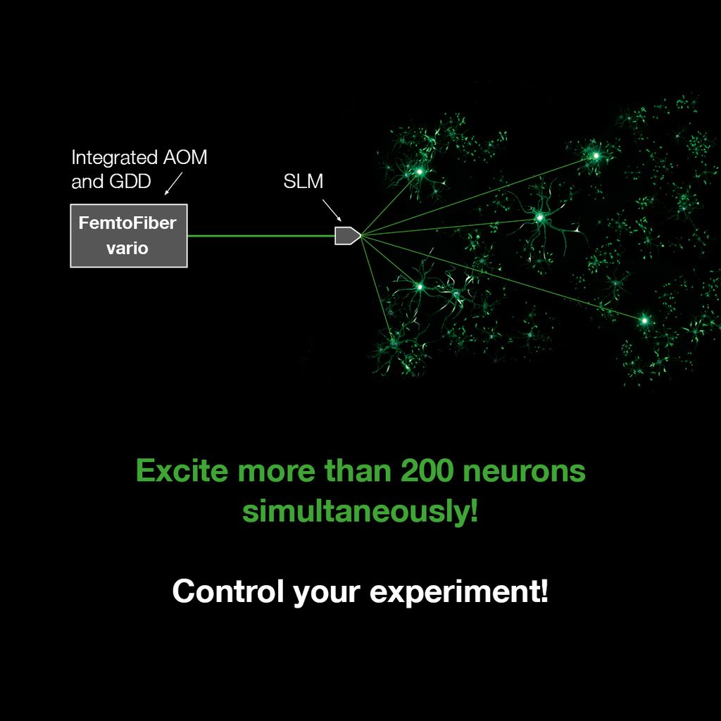 Excitation-neurones-optogenetique