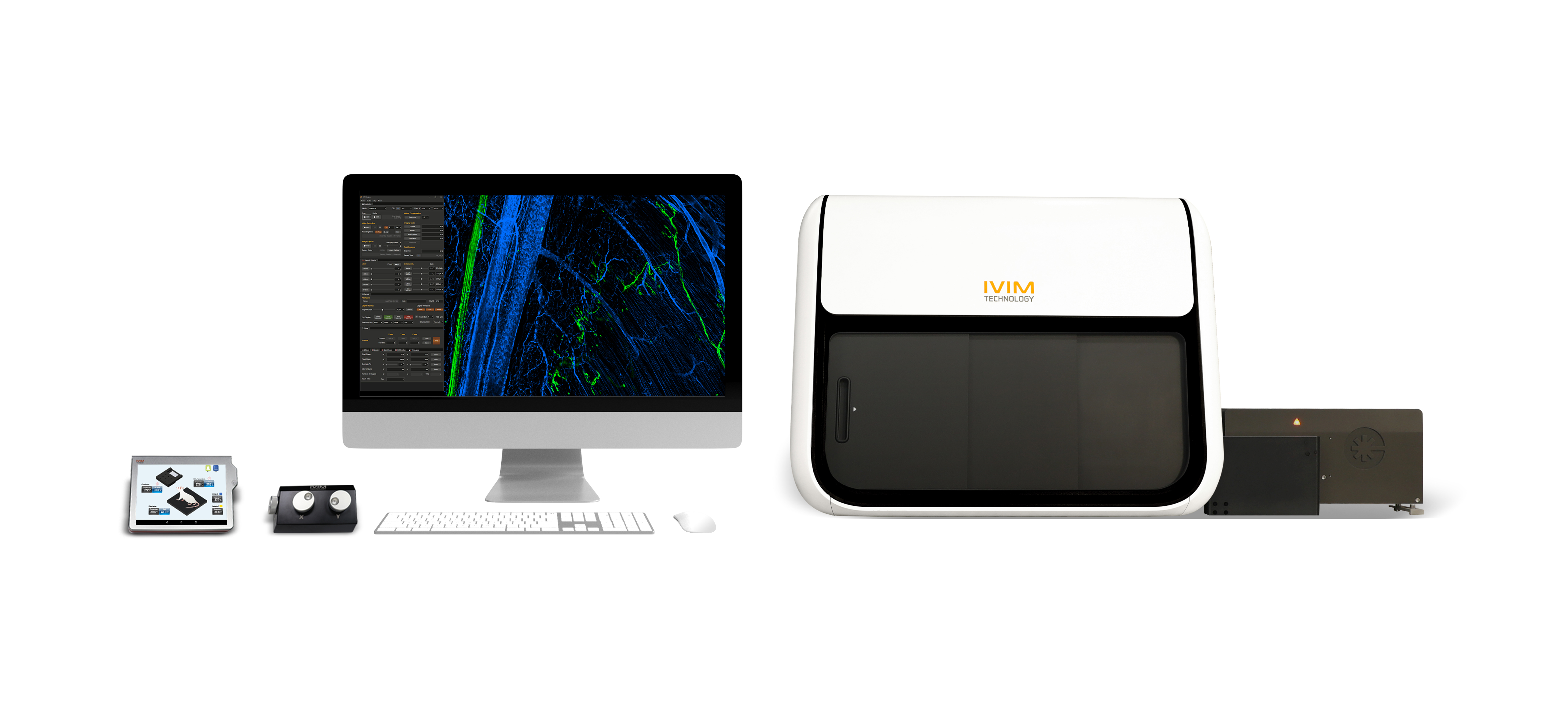 Plateforme de microscopie intravitale