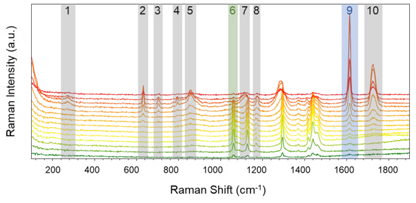 Imagerie Raman confocale