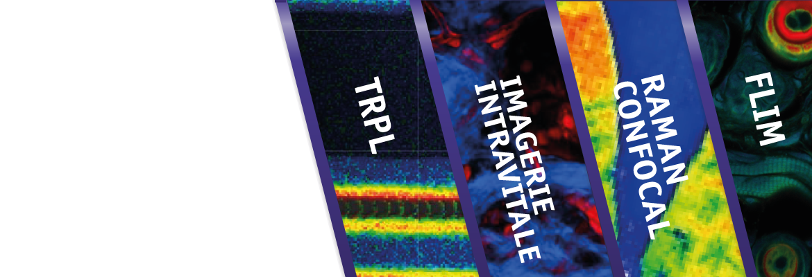 Techniques avancées de Microscopie